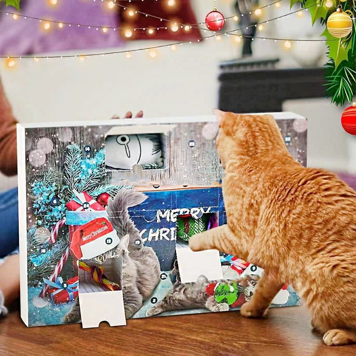 Cat Advent Calendar 2024 Christmas Blind Box