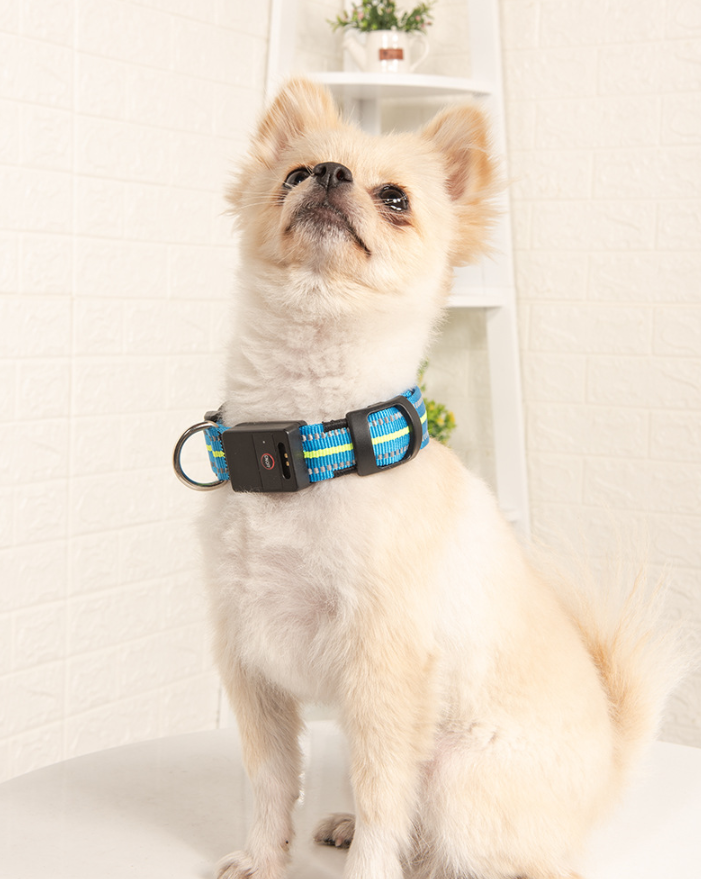 LED Dog Collar with Reflective Strips