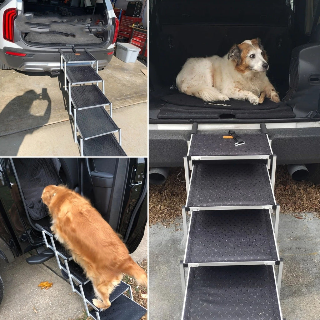 Foldable Dog Ladder