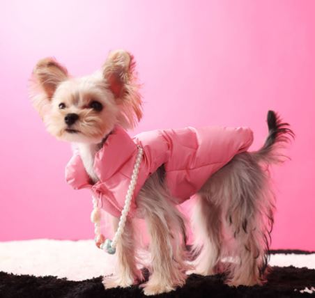 Puppy Vest Sleeveless clothes
