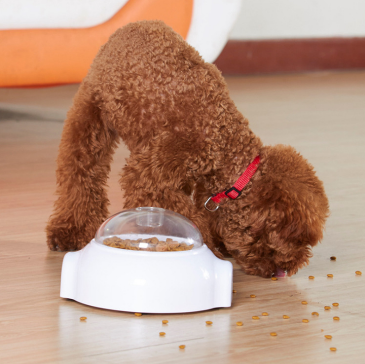 Rolling Food Dispensing Puzzle Ball for Dogs