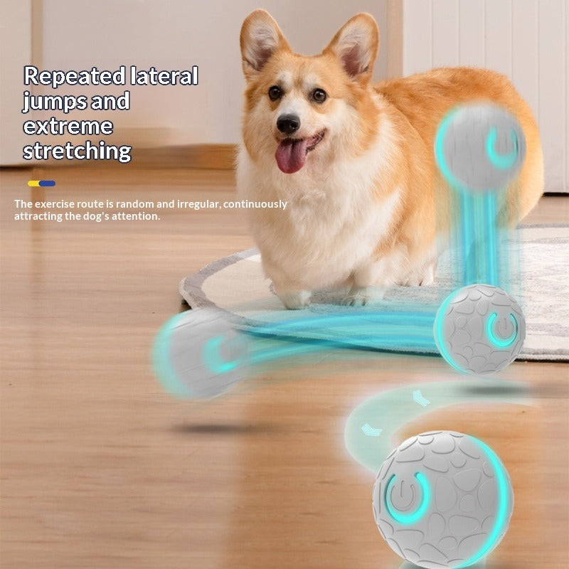 Smart Bouncing Pet Toy Ball