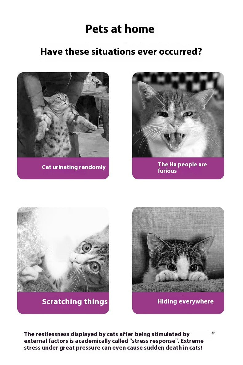 Cat Calming Spray Plug-in Kit
