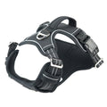 Pet Sports Chest Strap - Explosion-Proof Design
