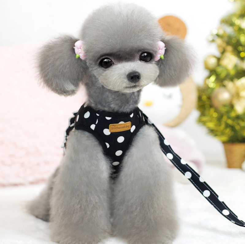 Polka Dot Dog Harness Vest with Leash for Small Pets