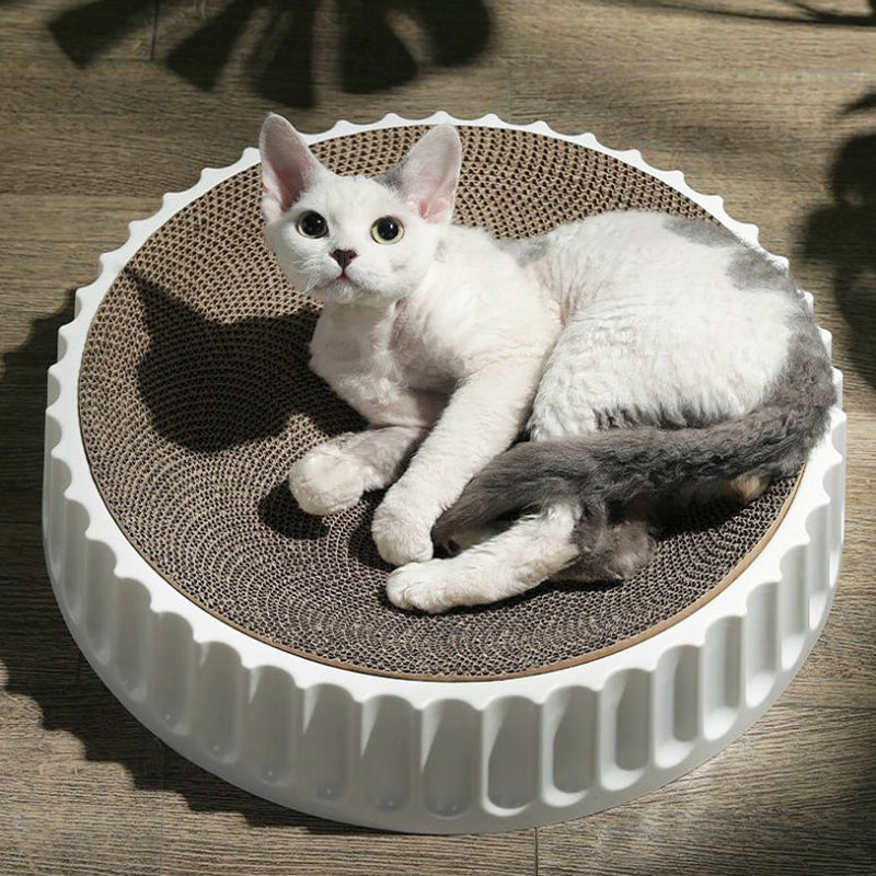Round Cat Grip Plate with Replaceable Compass Toy