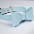 Cute Bow Collar and Leash Set for Pets