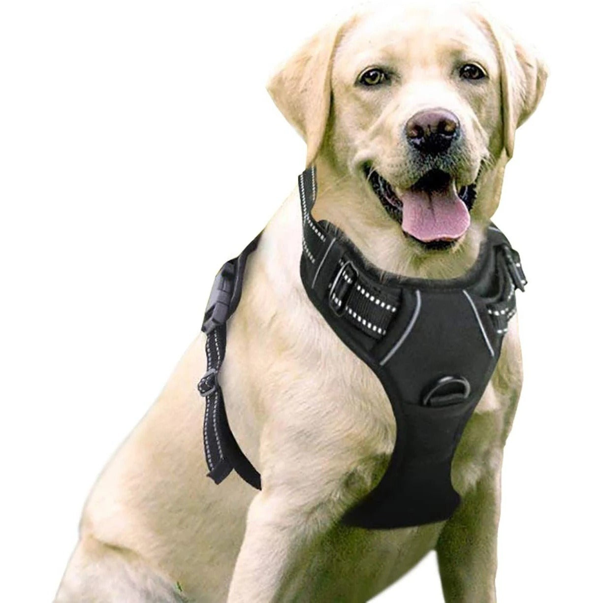 Nylon Dog Harness & Leash Set