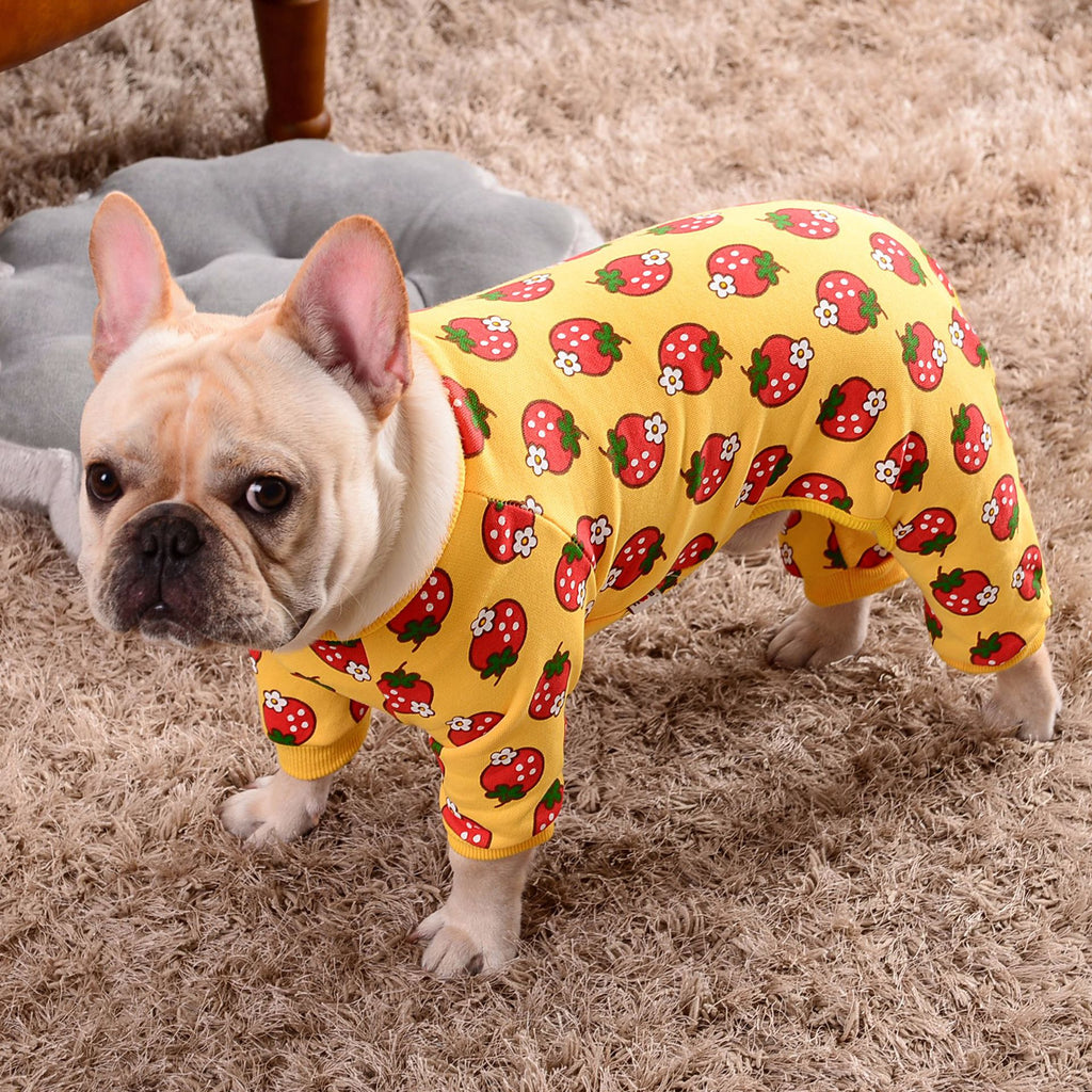 New Strawberry Pet Outfit for Autumn and Winter