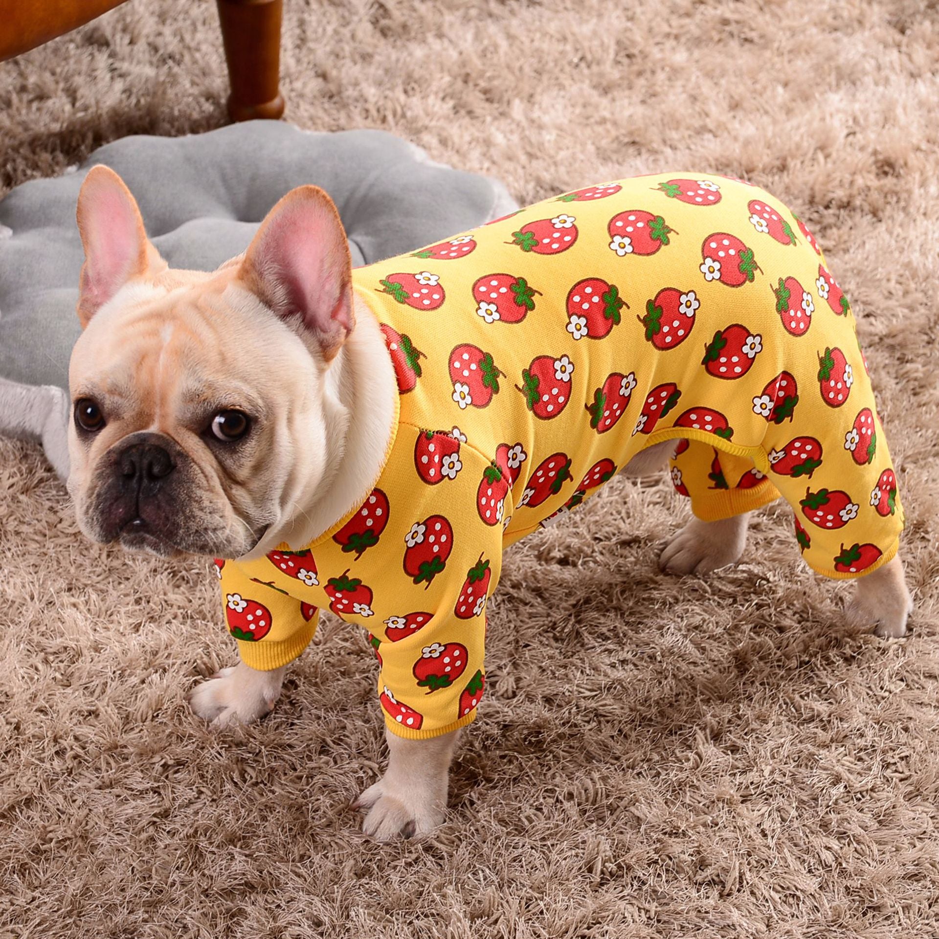 New Strawberry Pet Outfit for Autumn and Winter