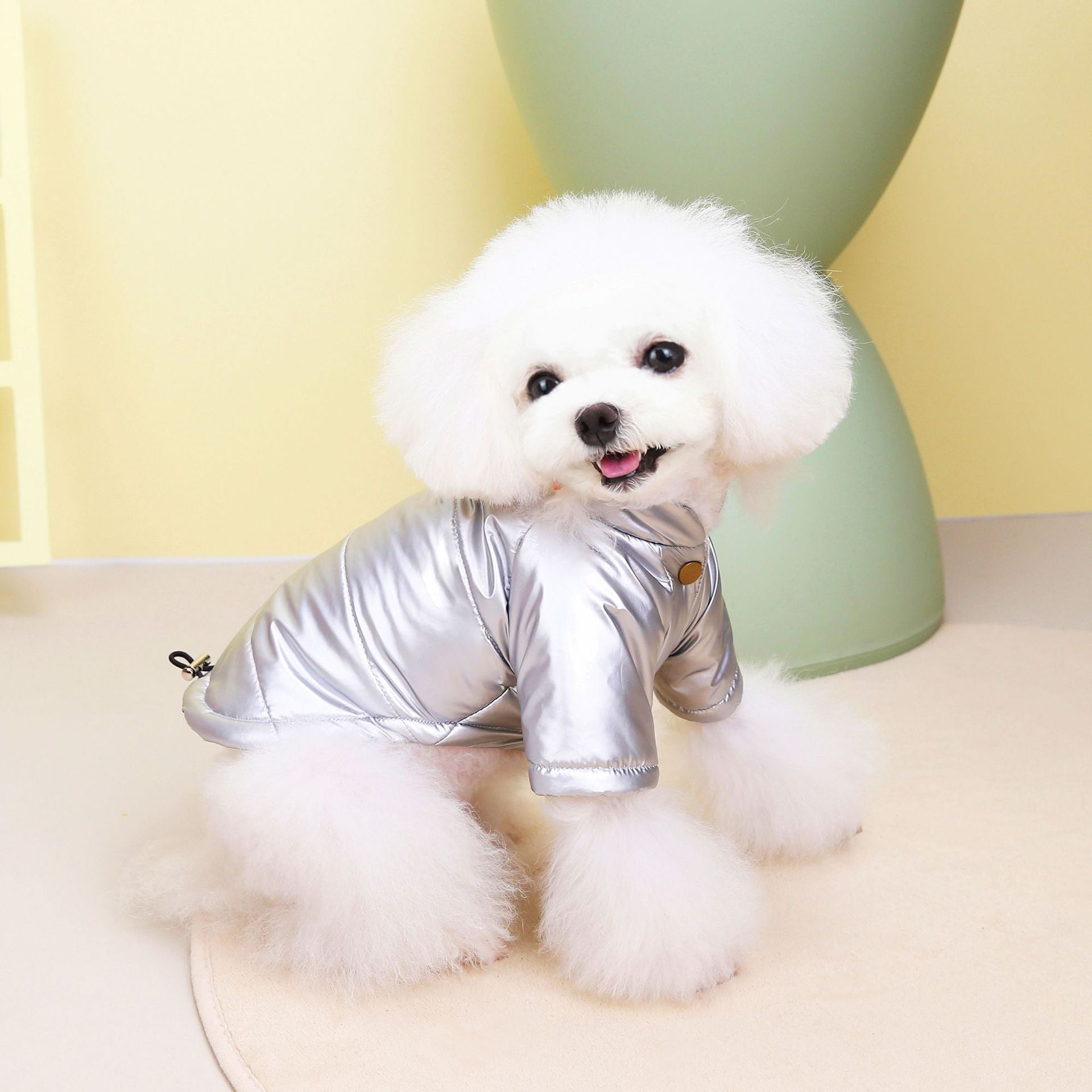 Waterproof Jacket for Dogs - Autumn and Winter Wear