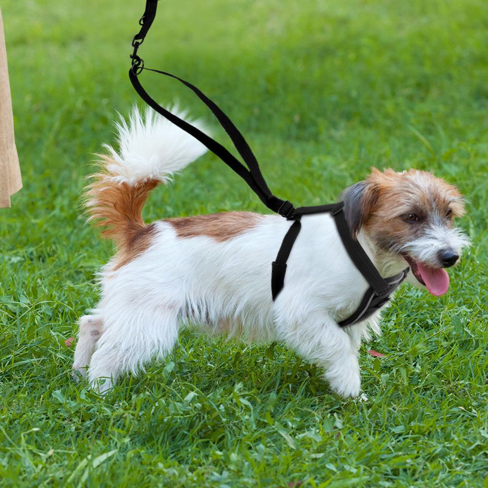 Reflective Nylon Dog Chest Strap - Breathable Design