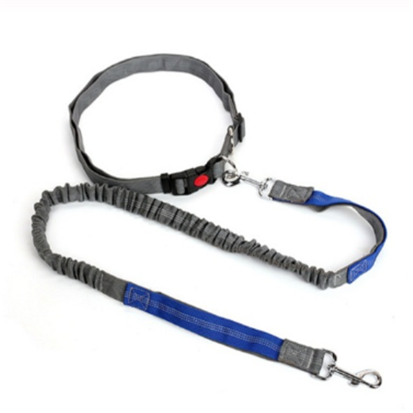 Dog Leash and Tethering Rope for Pets