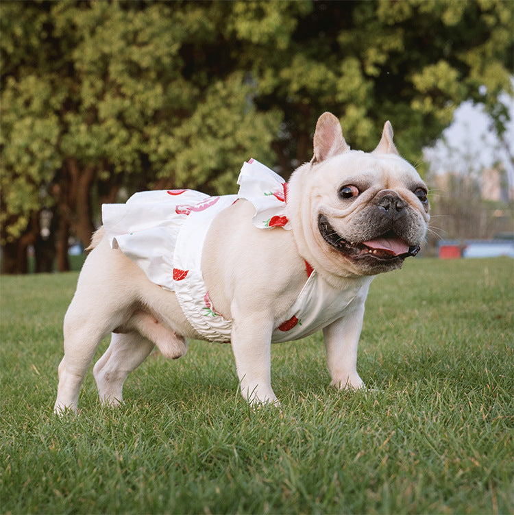 Lotus Leaf Lace Suspender Skirt for Small Pets