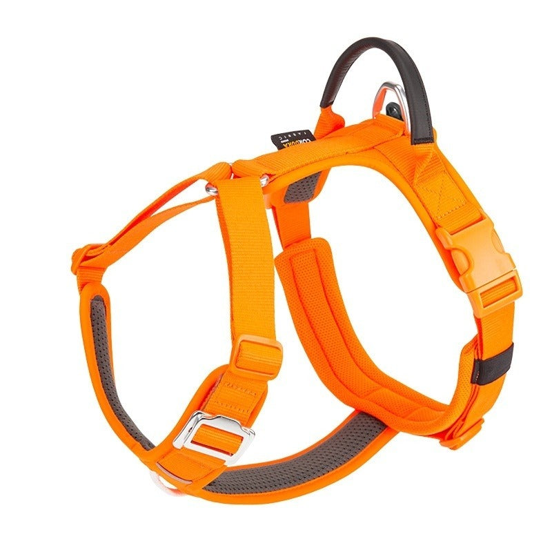 Minimalist Outdoor Dog Harness