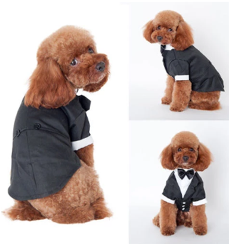 Golden Retriever Teddy Clothes for Fall Winter Pet