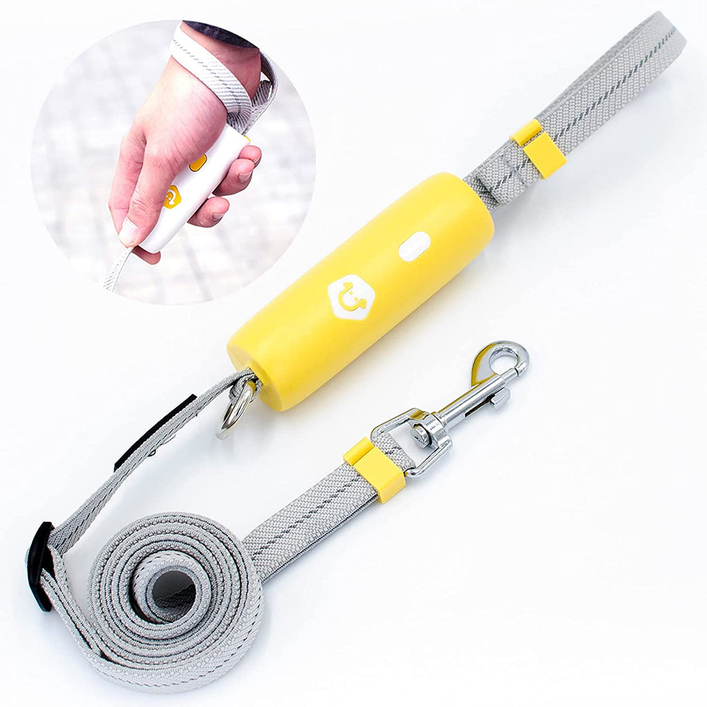 New Elastic Dog Leash for Small and Medium Breeds