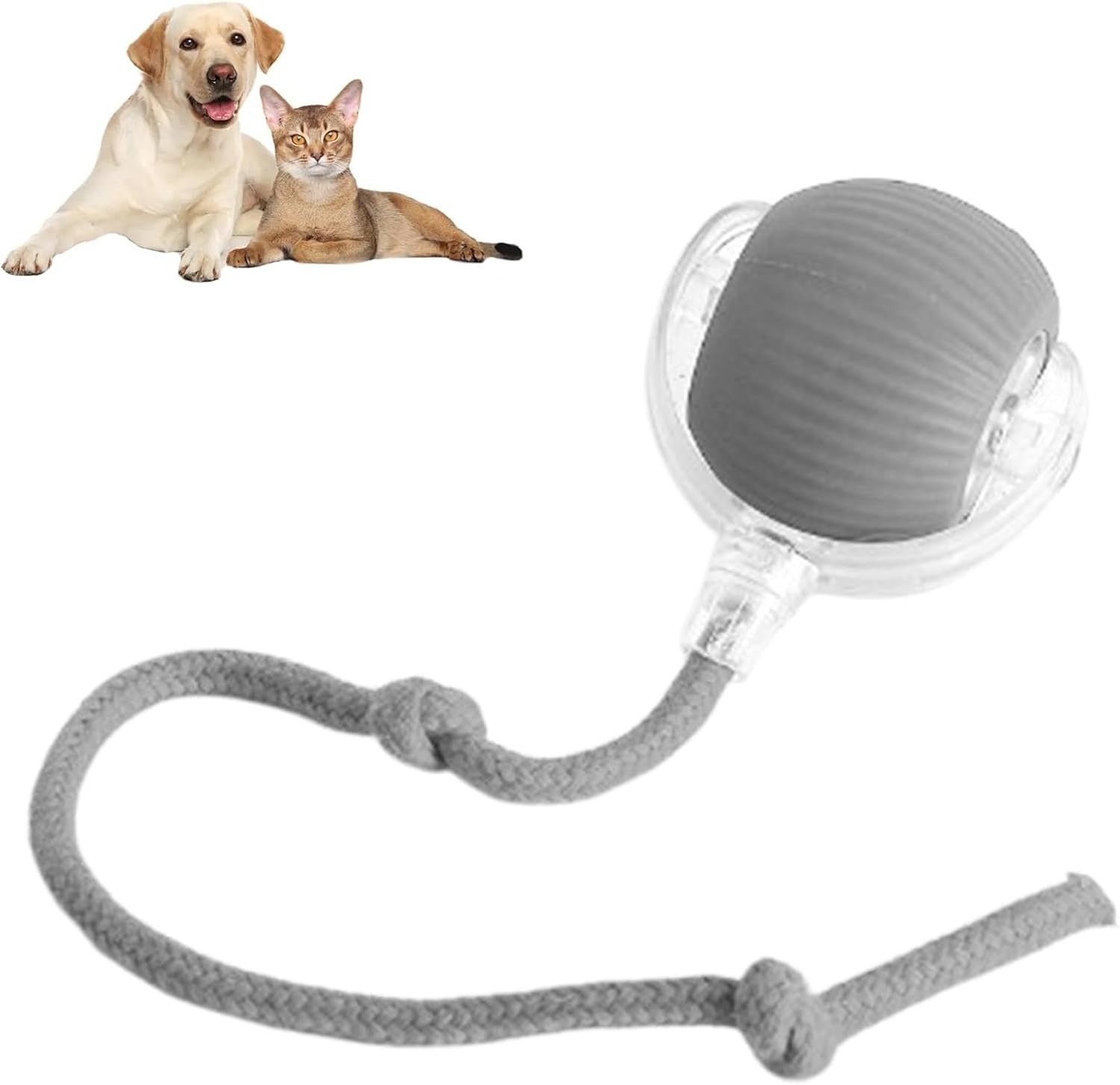 Interactive Rolling Pet Ball Toy
