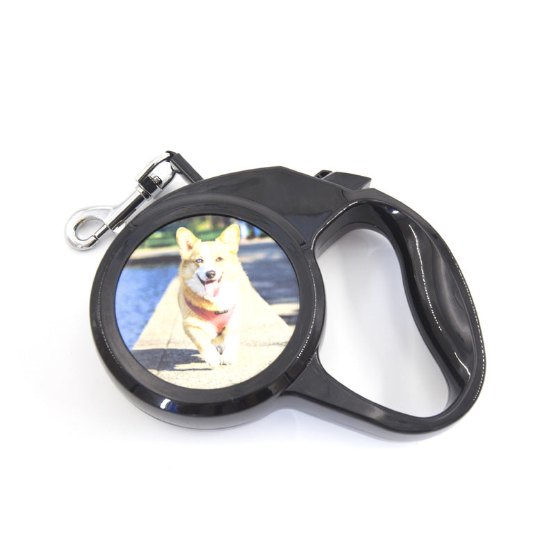 Personalized Automatic Retractable Dog Leash for Small Dogs