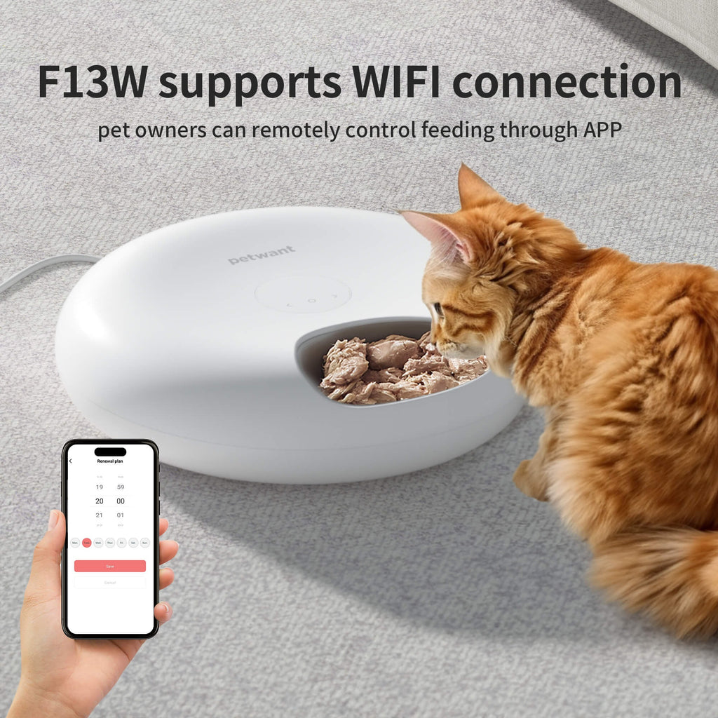 Smart 6-Meal Pet Feeder with App & Ice Packs