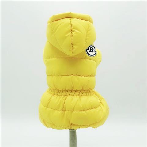 Winter Coats for Small Dogs - Teddy & Bichon Styles