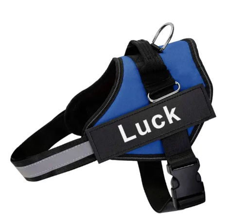 K9 Pet Leash and Harness