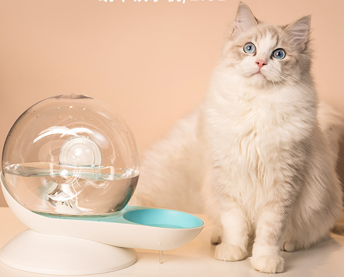 Snail Water Dispenser Filter Cotton for Pets