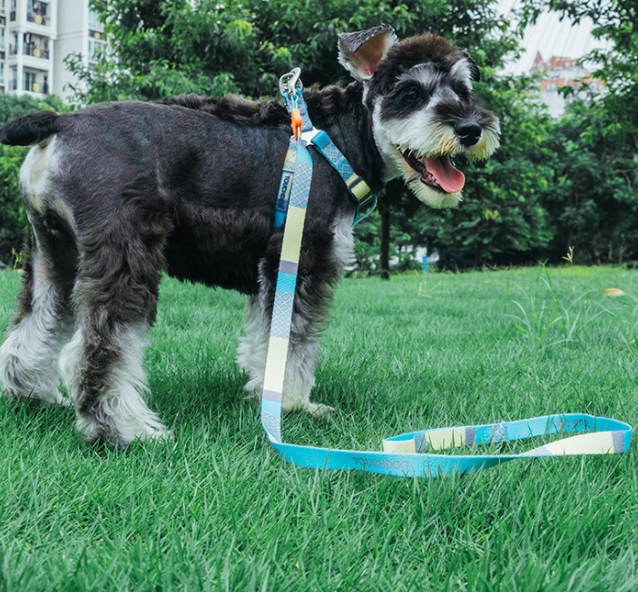 Heat Transfer Printing Dog Leash and Collar Set