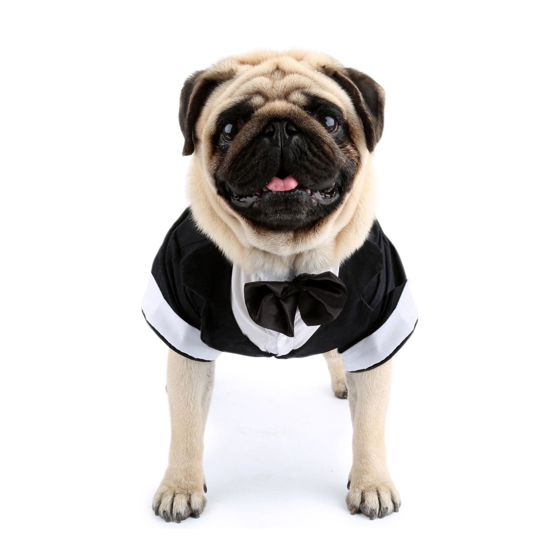 Puppy Bow Tie Evening Dress for Pets