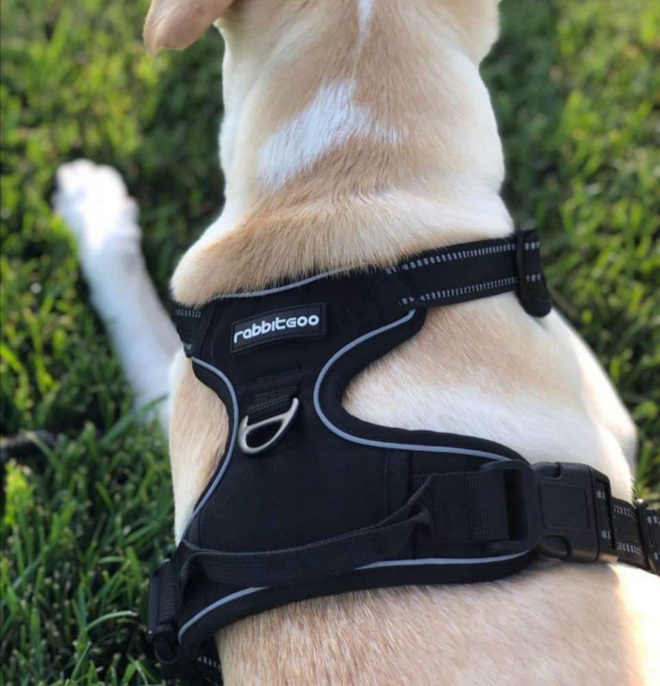 Medium & Large Dog Vest Harness