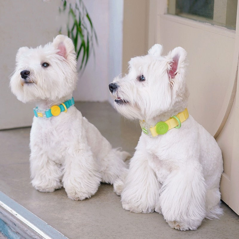 Dog Collar