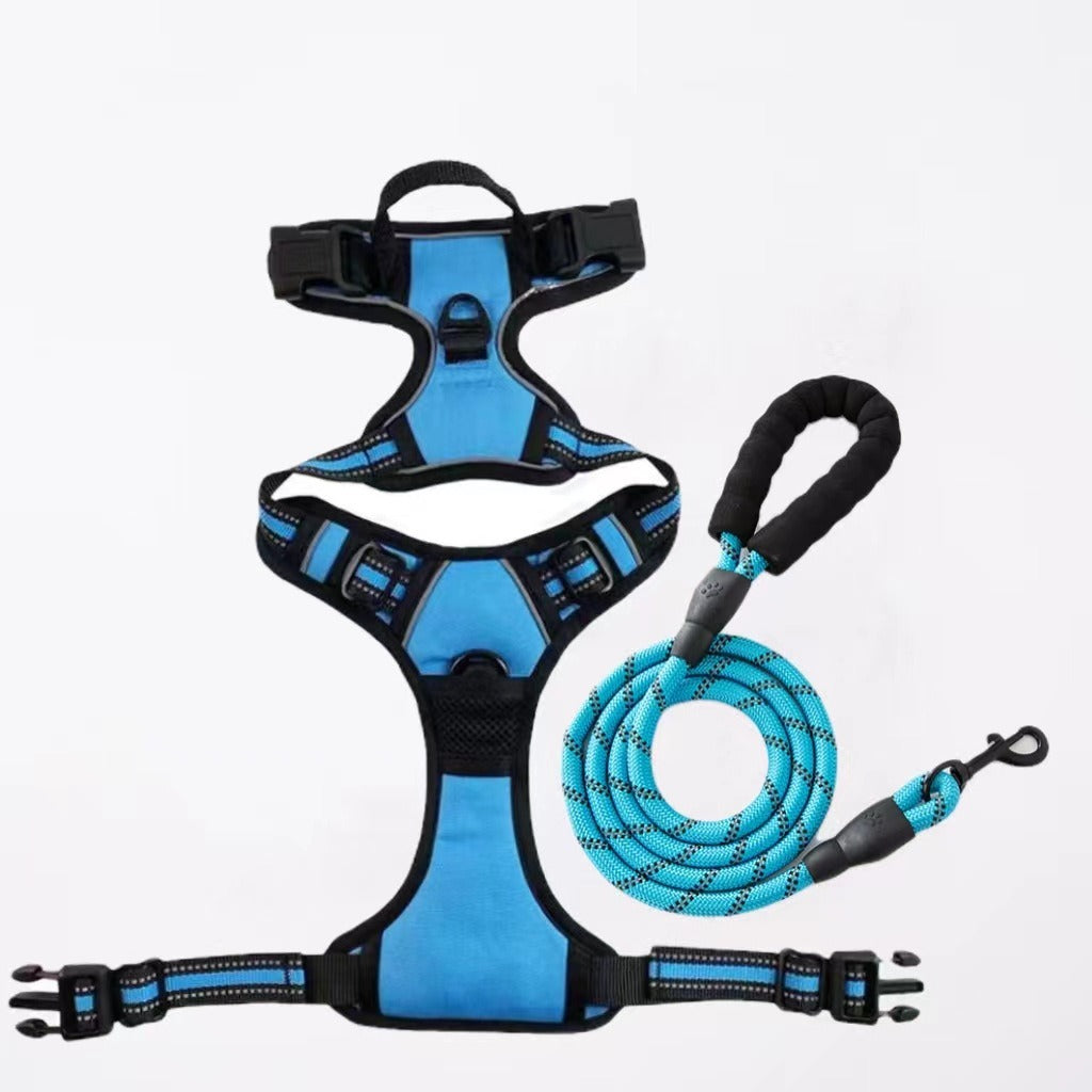 Nylon Dog Harness & Leash Set