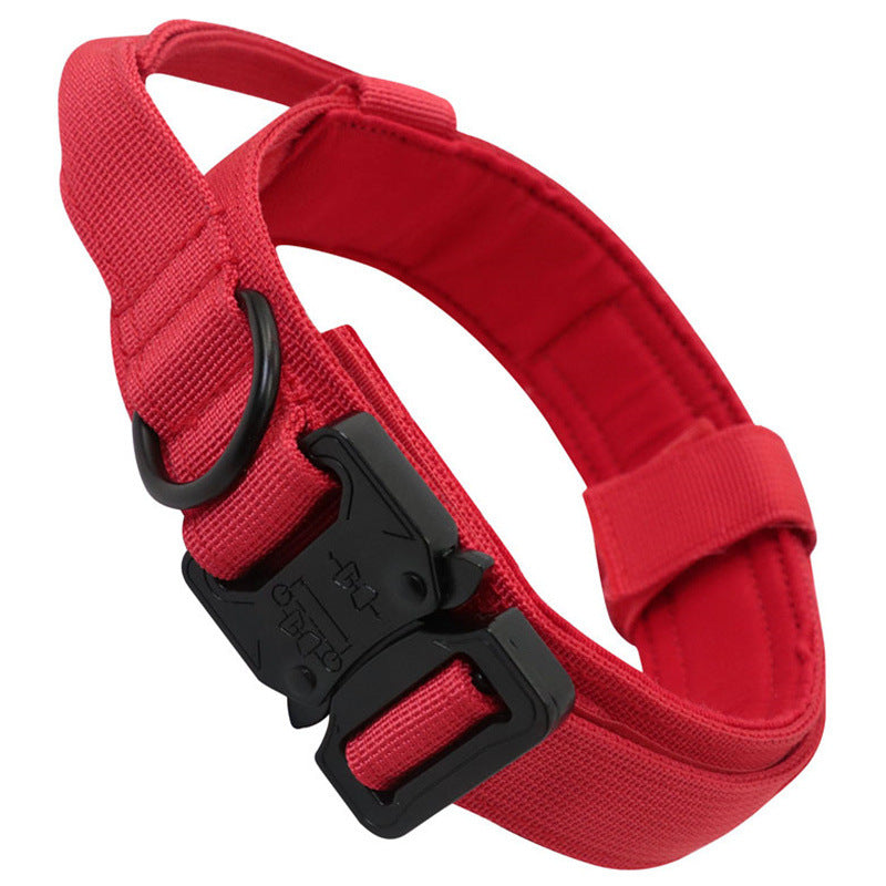 Personalized Fashion Tactical Dog Collar