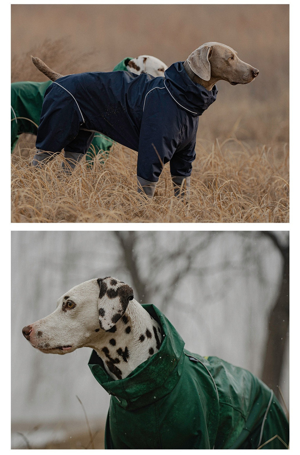 Waterproof Puppy Raincoat for Dogs