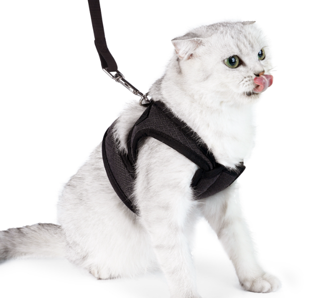 Puppy Dog Vest Style Traction Rope Harness