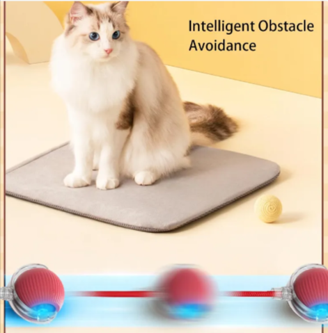 Smart Rolling Pet Ball