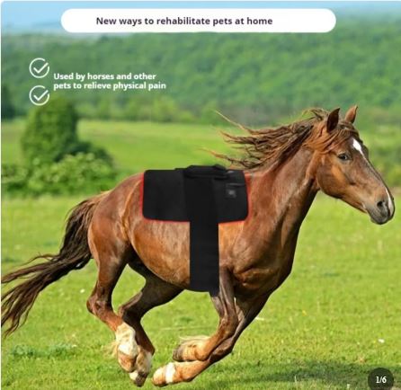 Horse Infrared LED Red Therapy Pad