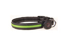USB Rechargeable LED Dog Collar (Peach Shape)