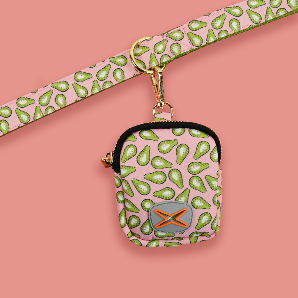 Dog Leash & Poop Bag Holder Set