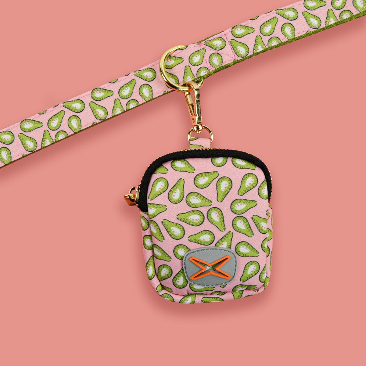 Dog Leash & Poop Bag Holder Set