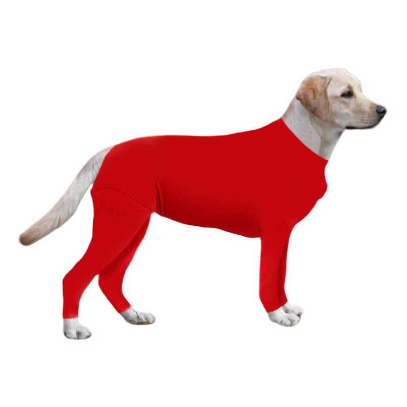 Autumn and Winter Dog Clothes in New Style