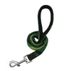 Dog Collar and Leash for Large Dogs