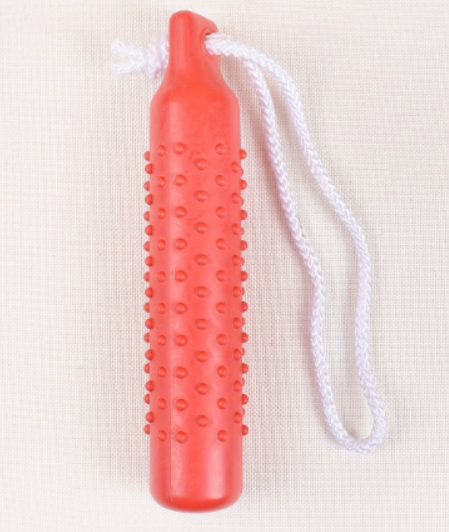 Floating Dog Pool Toys