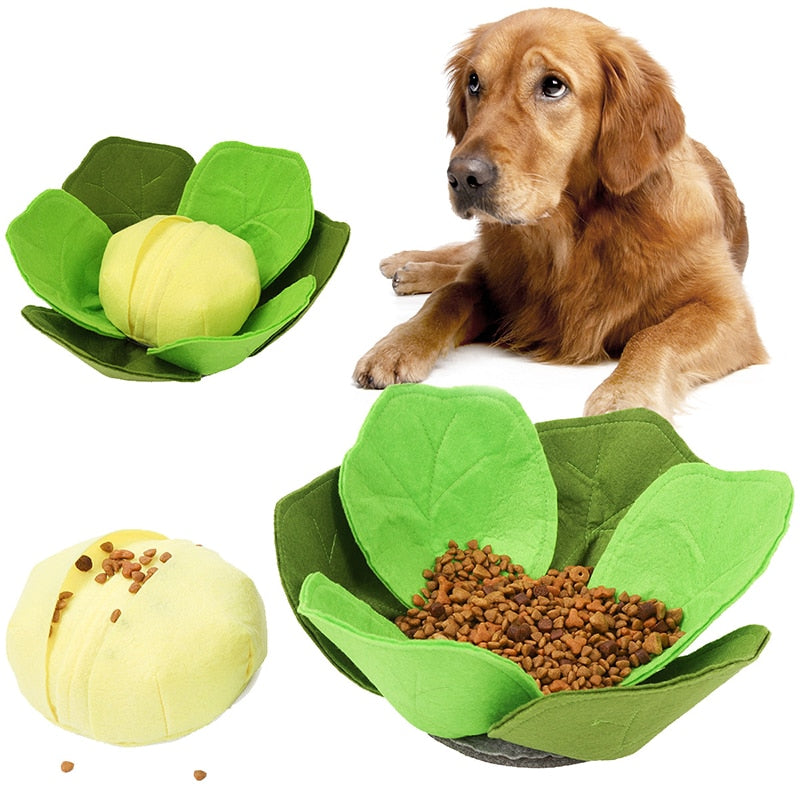 Cabbage Sniffing Toy and Slow Feed Dog Bowl