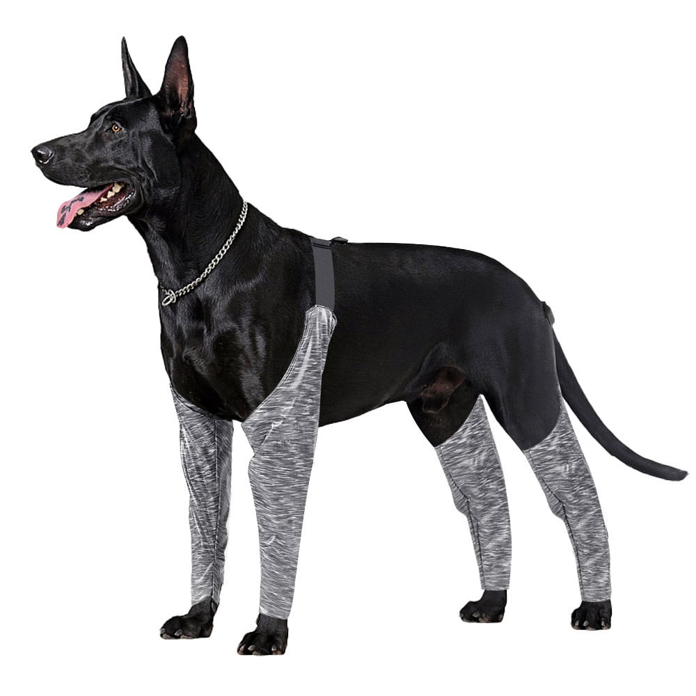 Doughton's New Outdoor Pants for Dogs