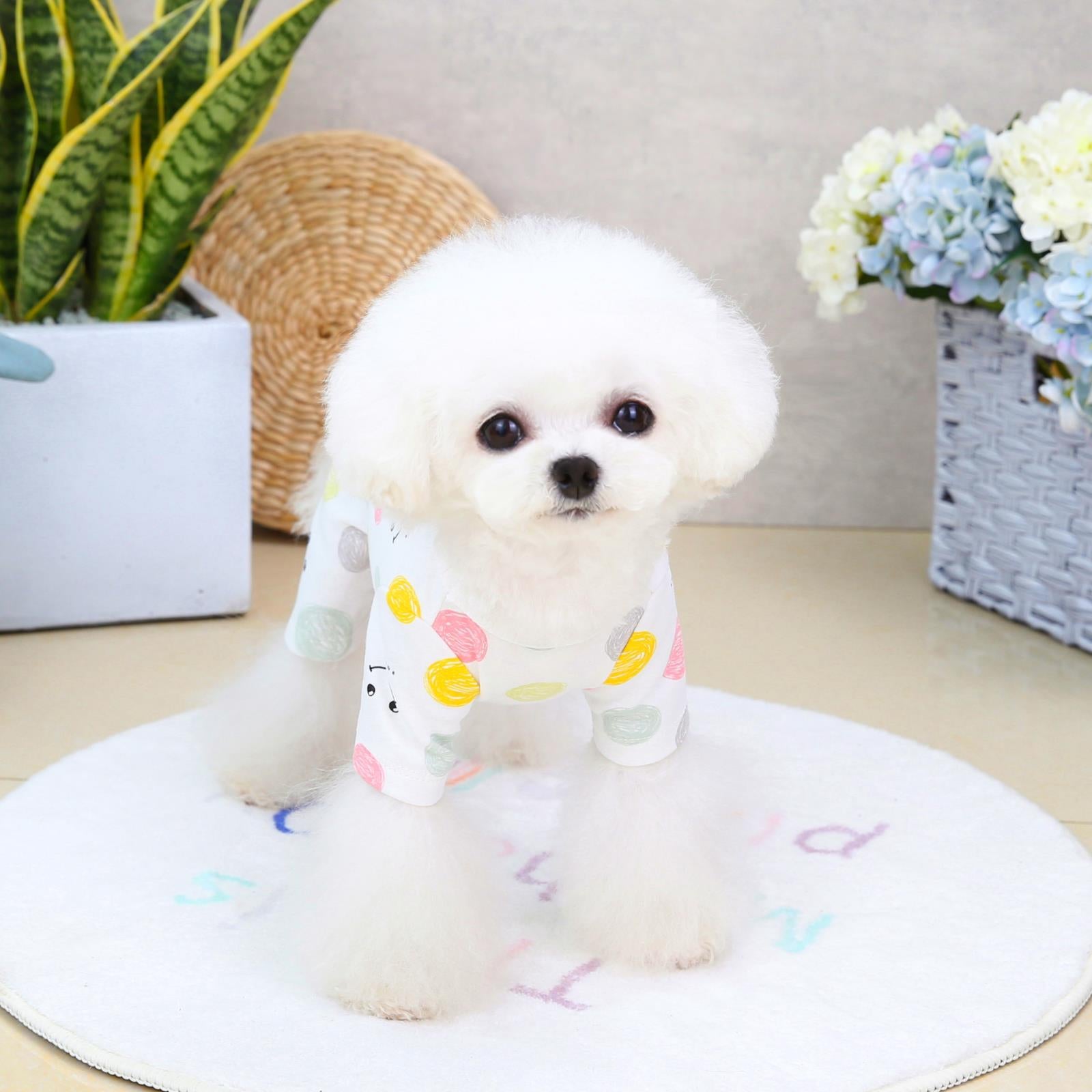 Casual Fashion Clothing for Four-Legged Pets