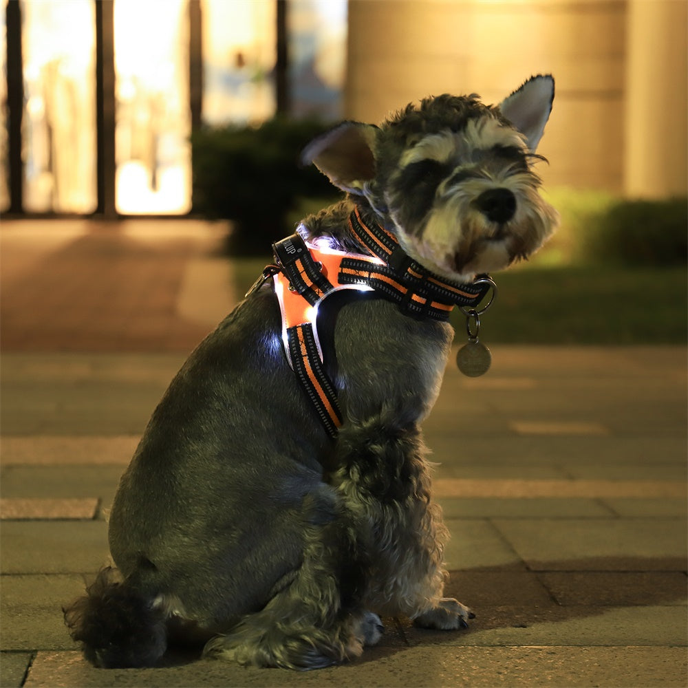 LED Dog Harness with Leash and Light-Up Collar