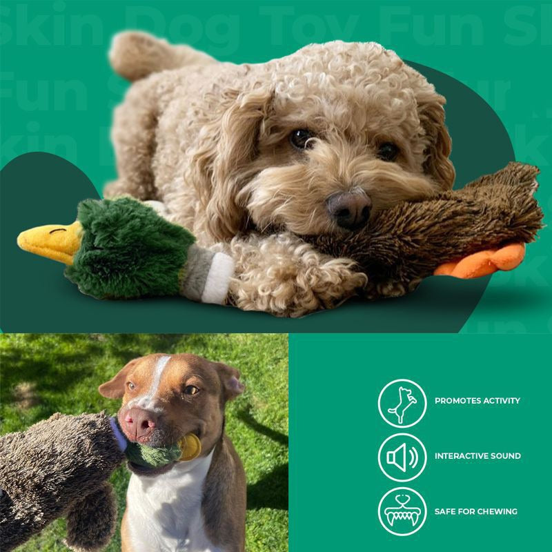 Stuffless Squeaky Dog Toy – Wild Duck
