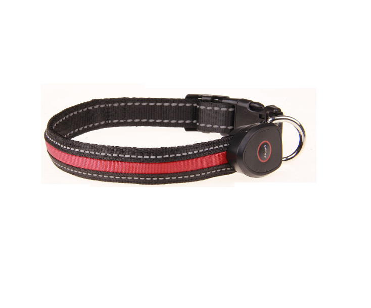 Luminous Dog Collar for Nighttime Visibility