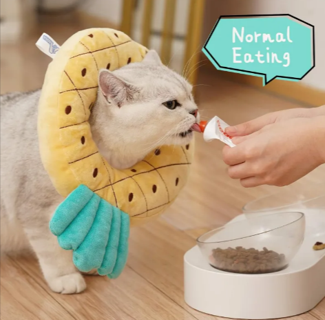 Adjustable Soft Cat Recovery Cone